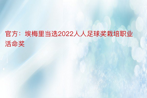 官方：埃梅里当选2022人人足球奖栽培职业活命奖